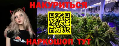 шишки Нальчик