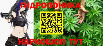 кокс Нарткала
