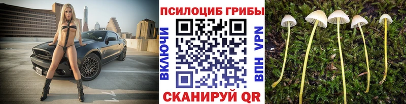 Псилоцибиновые грибы GOLDEN TEACHER  наркошоп  OMG маркетплейс  Спасск-Дальний 