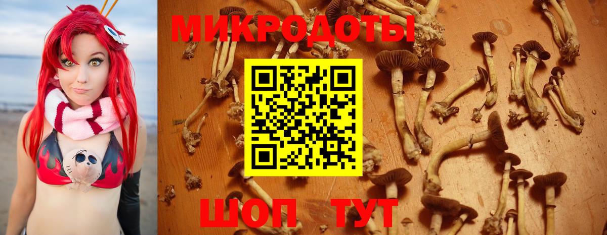 Спасск-Дальний  Галлюциногенные грибы мицелий  Вход с VPN  Псилоцибиновые грибы Psilocybine cubensis 